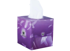 Luxury Cube Tissues - 2 Ply (70 Sheets)